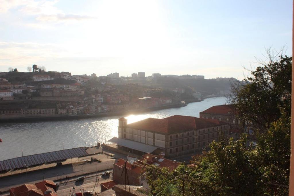 Oportobestview-sun Appartement *